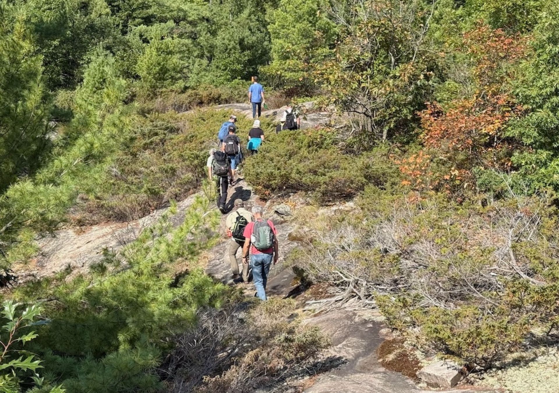 Group hiking on rocky terrain