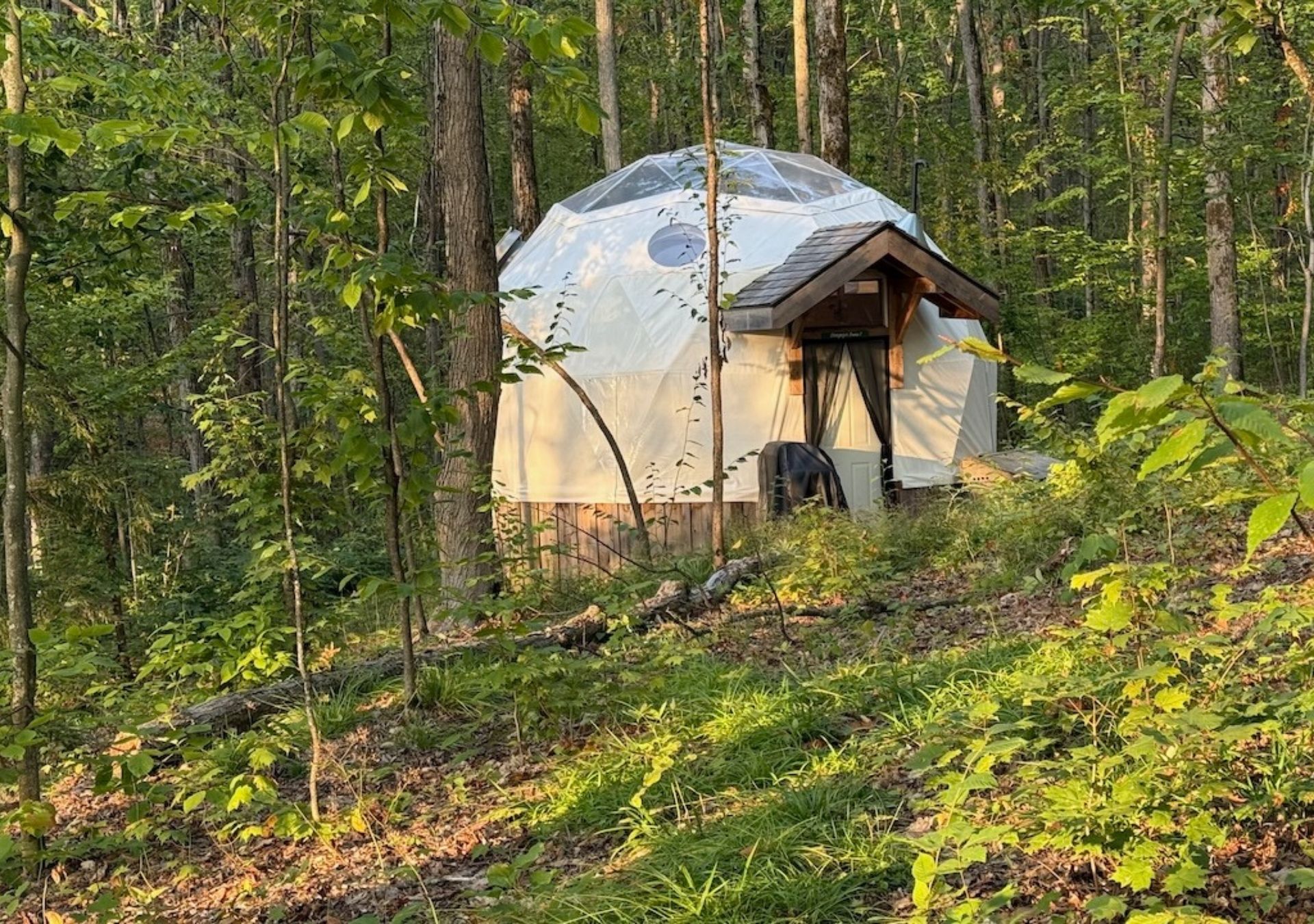 Dome-shaped cabin in forested area