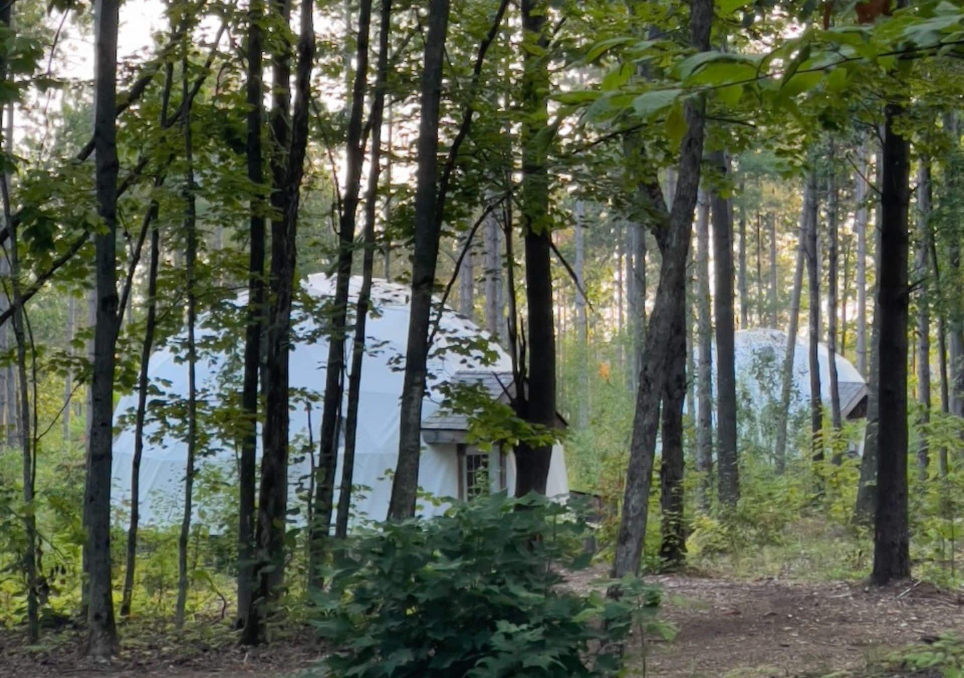 Dome structures nestled in forest