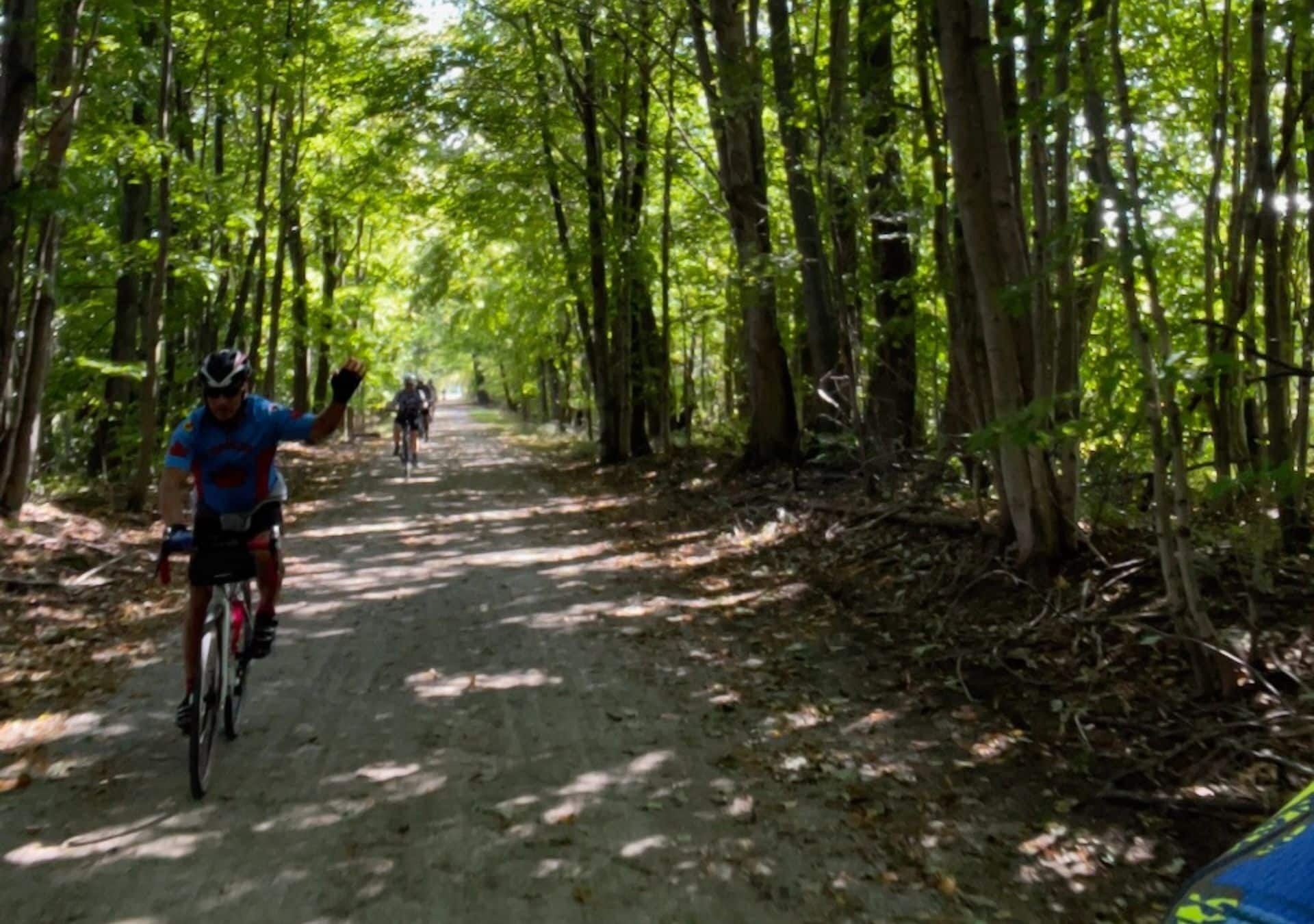 Cyclists riding on a forest trail.
