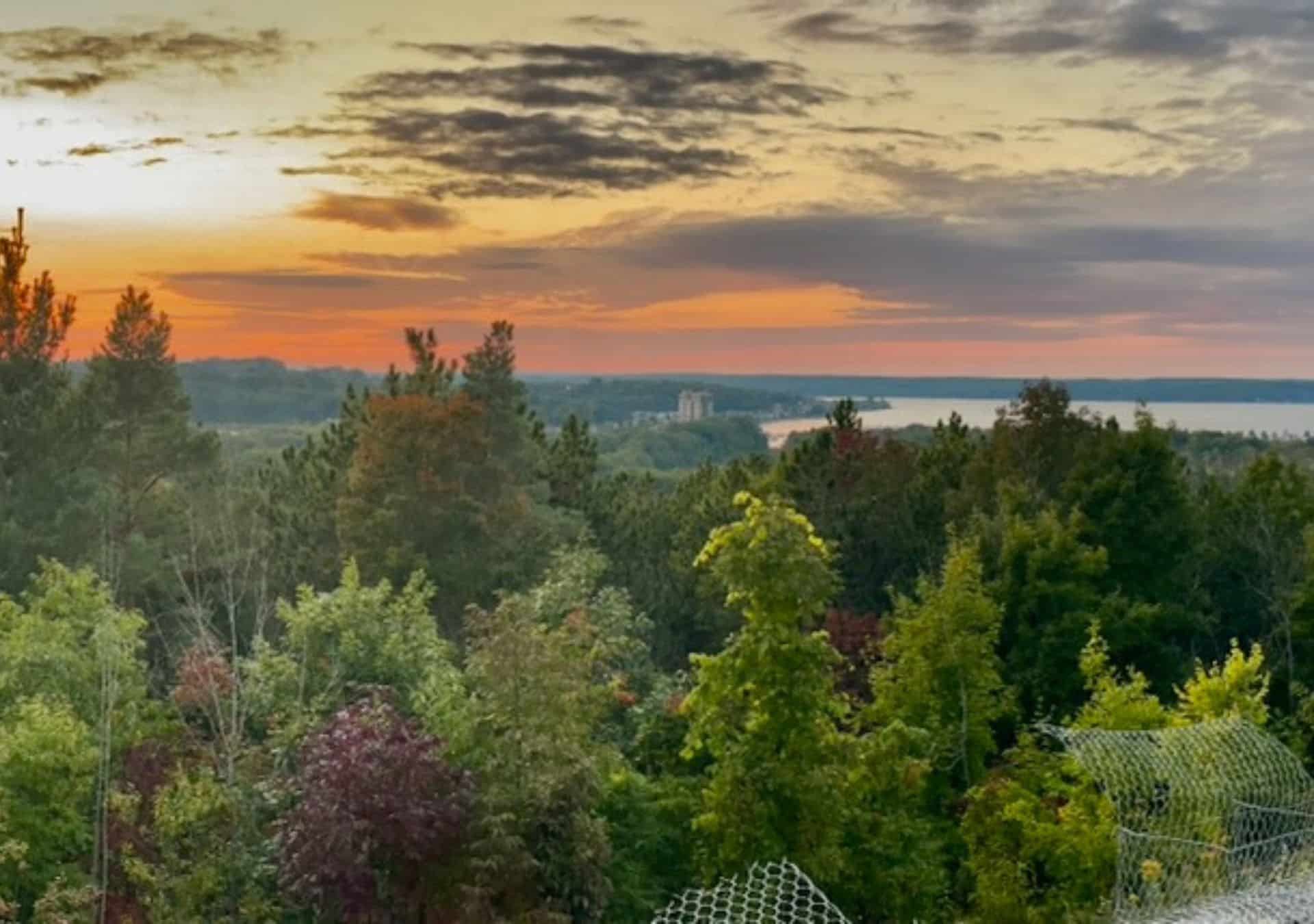Scenic sunset over lush landscape