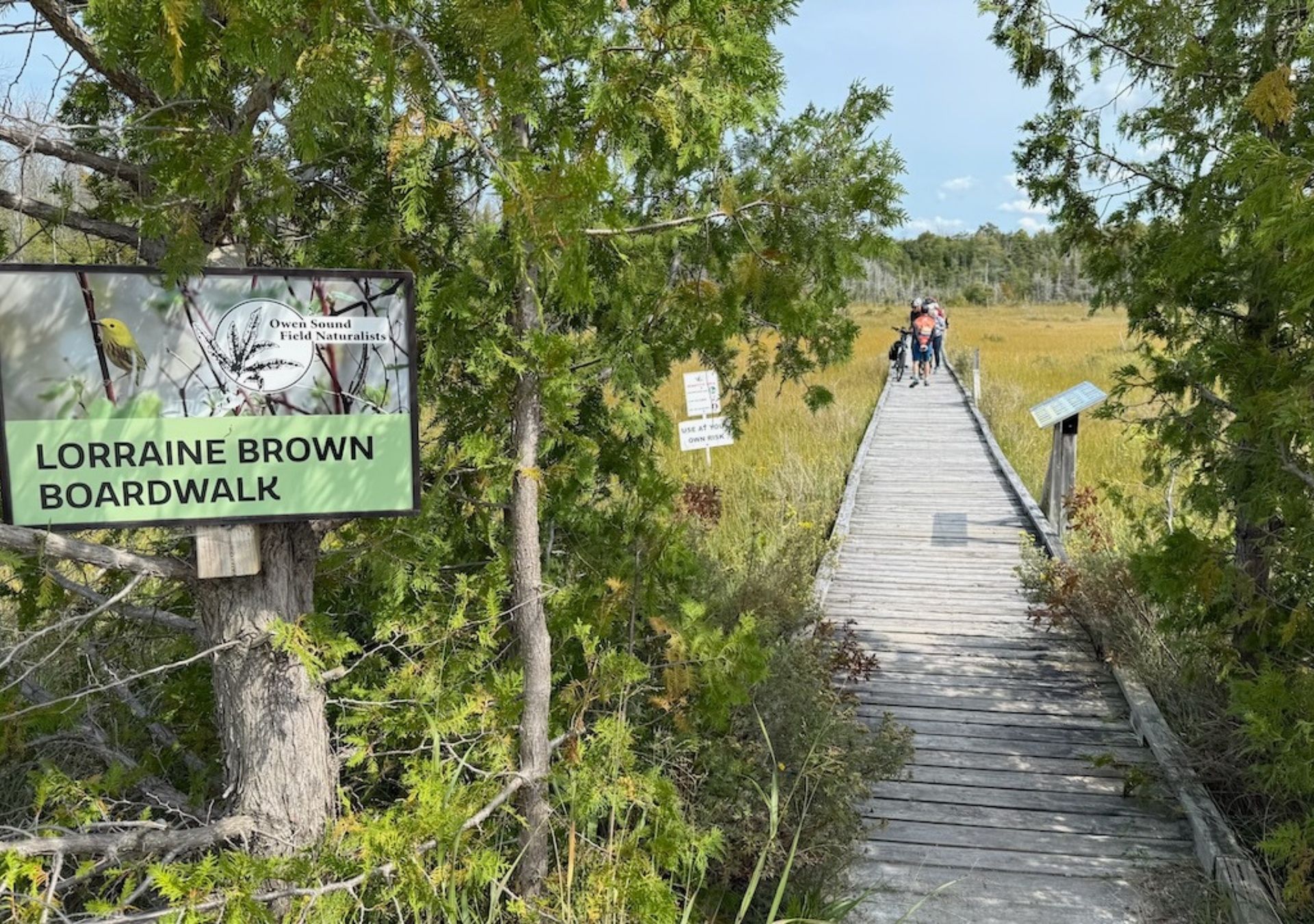 Boardwalk through a marshy area
