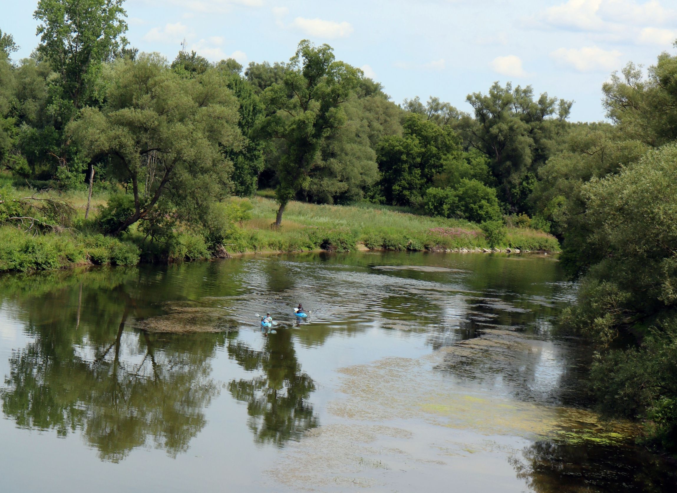 Two kayakers on a serene river